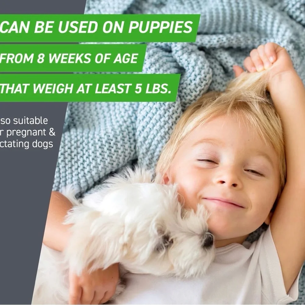 FRONTLINE PLUS FOR DOGS & PUPPIES - 8 wks & OLDER 5 TO 22 LBS - new! 3 dose box